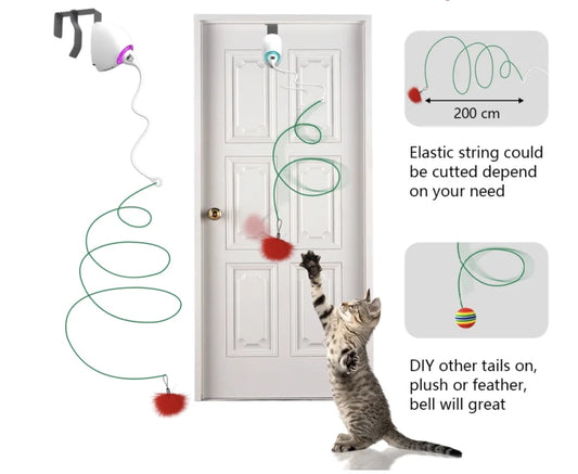 Door Hanging Interactive Electric Cat Toy