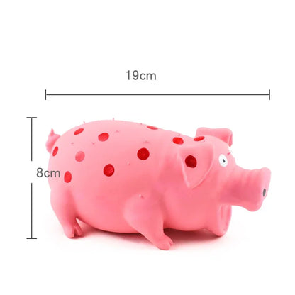 Squeaky Pig Dog Toy Your Dog Will Go Crazy, other variations available